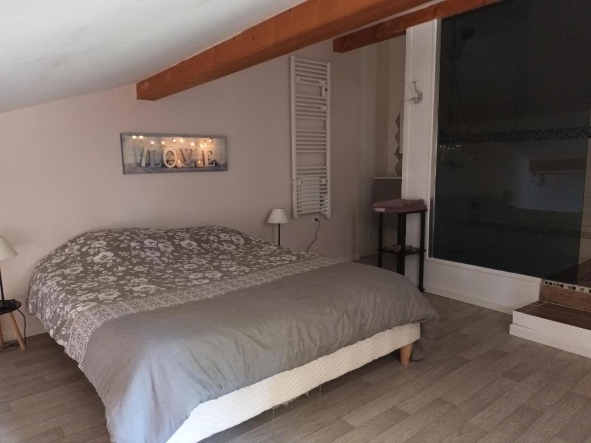 Appartement T2 Au Coeur Du Village Cleon-d'Andran Zewnętrze zdjęcie